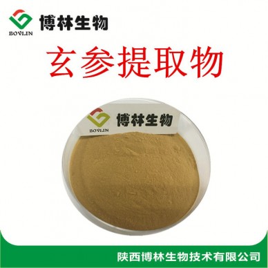 植物提取物 玄参提取物10:1