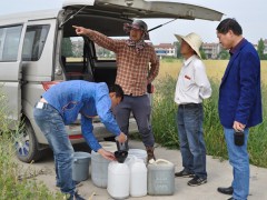 孝感市孝南区农业技术推行中心展开油菜喷施枯燥剂示范推行任务