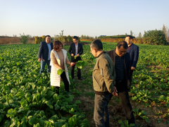 谷城：心系菜品平安  狠抓目的验收