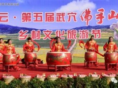 武穴市：省蔬菜办指导应邀参与我市第五届武穴佛手山药乡村文明旅游节活动