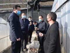 商洛：抢农时战“疫”情促供给