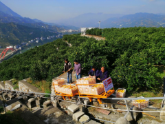 秭归 全省培训在秭停止 推进丘陵山区农业机械化