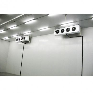 【中克ZK】 冷库工程   冷库安装工程   冷库安装厂家   水果冷库安装  乳制品冷库安装  价格优惠