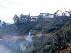 无人植保机飞上了大寨山