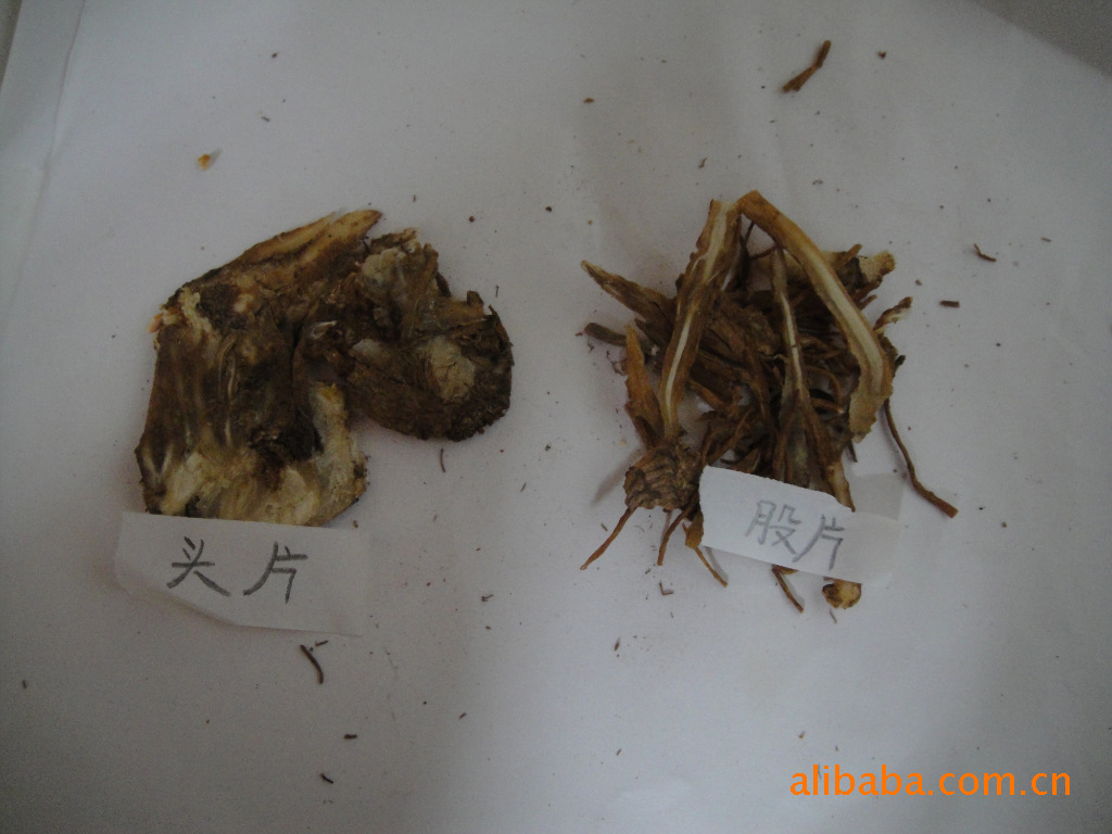 头晕怎么回事？批量供应定西中草药：归头（不是龟头）机械片