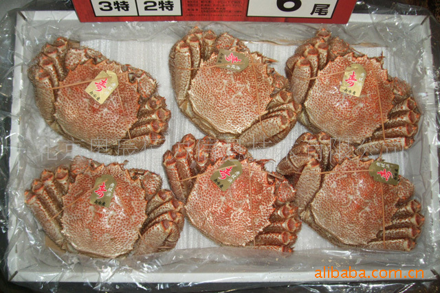 日本北海道直送 寿水产特级毛蟹