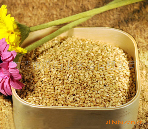 五谷杂粮-熟糙米 低温烘焙适合五谷磨坊 现磨豆浆 固元膏原料