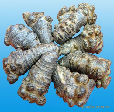 优质的三七 批发价格