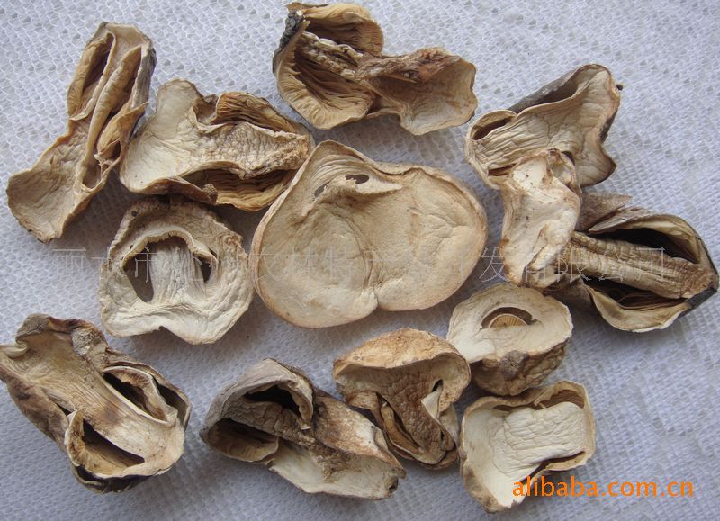 浙江丽水特产 食用菌 草菇 肉厚