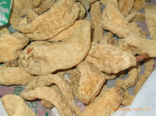 供应优质中药材 无硫天麻 天麻片 大别山中药材 中草药批发