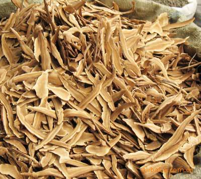 供应中药材  灵芝 灵芝片批发