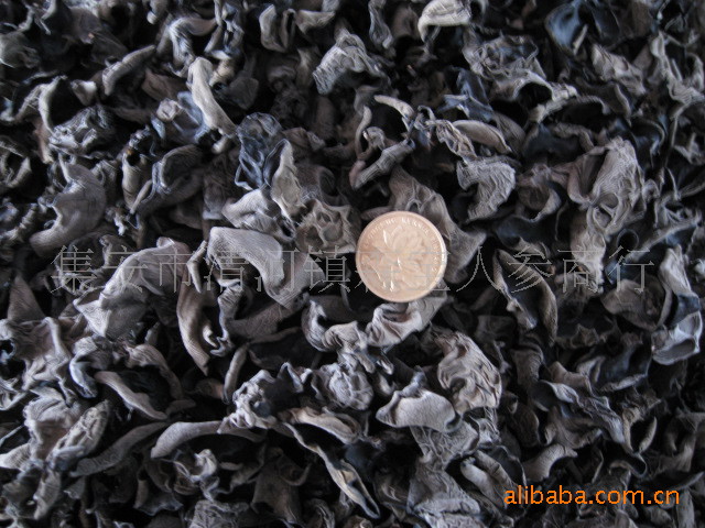 批发 野生 长白山土特产 特级小碗黑秋木耳