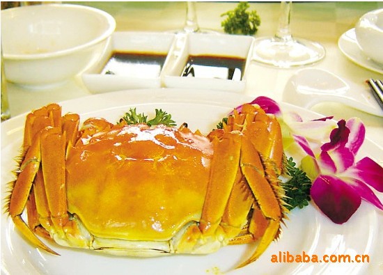 蟹都汇 供应正宗大闸蟹  特级蟹 鲜活水产品