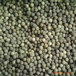 出售：香樟种子、花卉种子、樟树、小叶樟/绿化苗木