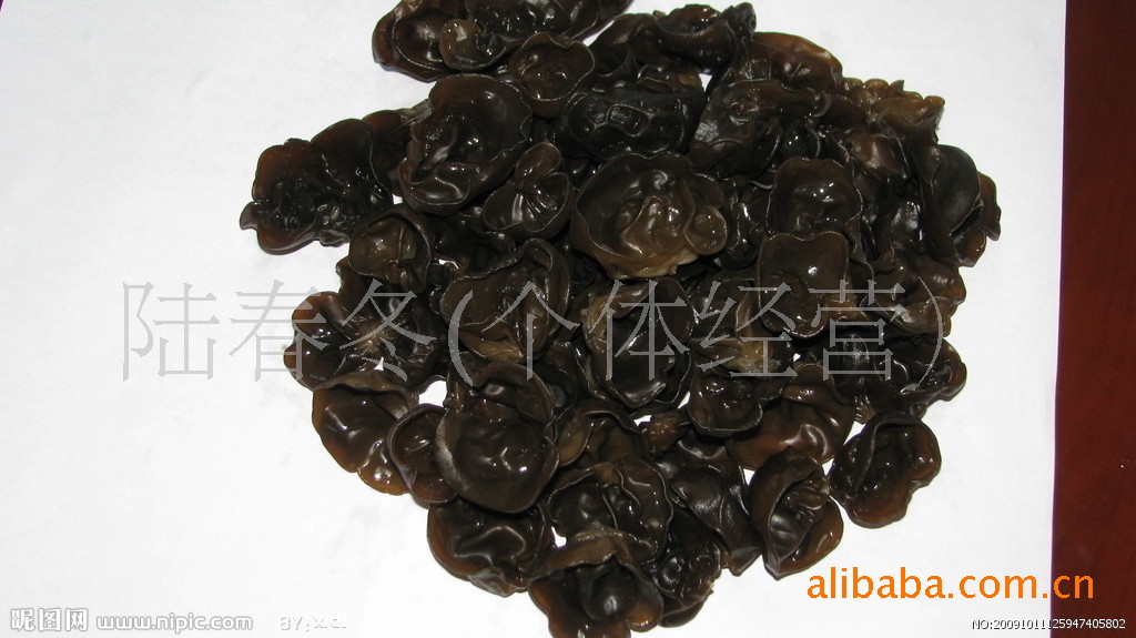[货号]CB-02 供应东北长白山天然有机黑木耳Jew's-ear 素中之荤