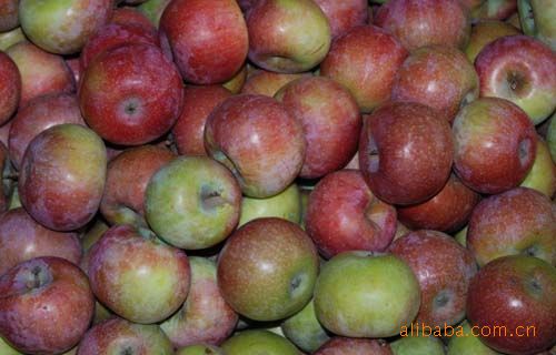 北京平谷农民自产自销小国光苹果（天然绿色健康） 酸甜可口