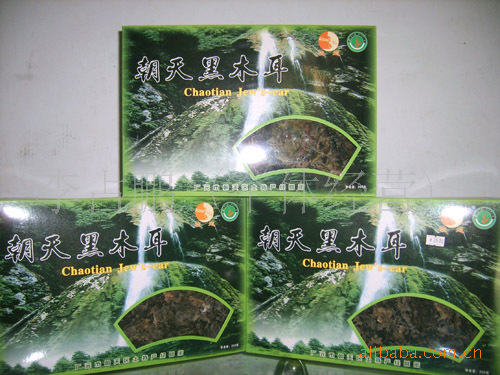 朝天黑木耳
