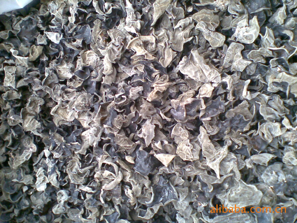 供应大量黑木耳   青川本土黑木耳