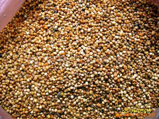 供应优质辽宁产红高粱