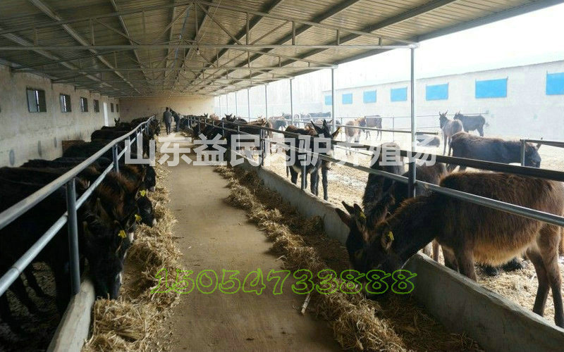 164626wu81ybz4gfuqlrxb_jpg_thu