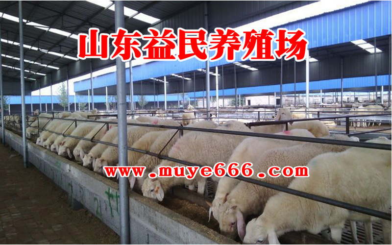 QQ图片20150210204744