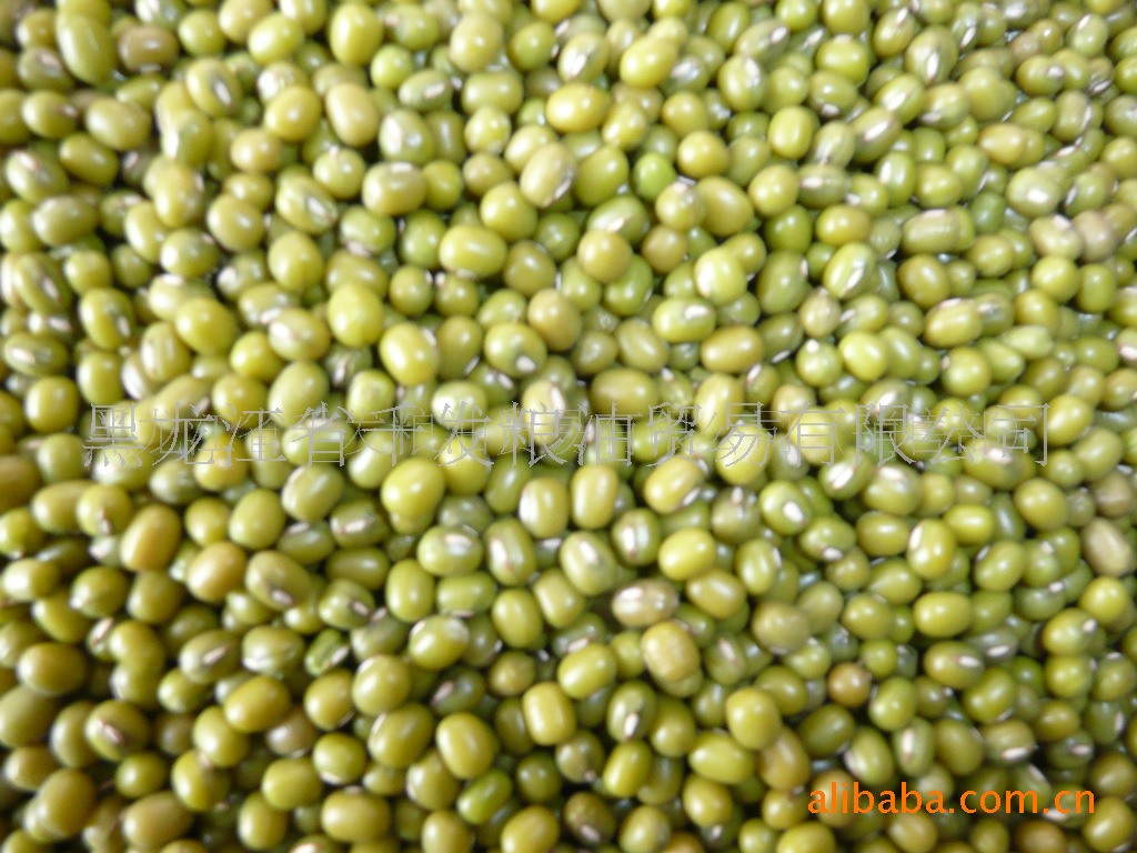 绿豆，3.0目以上，8400元/吨，大量供货