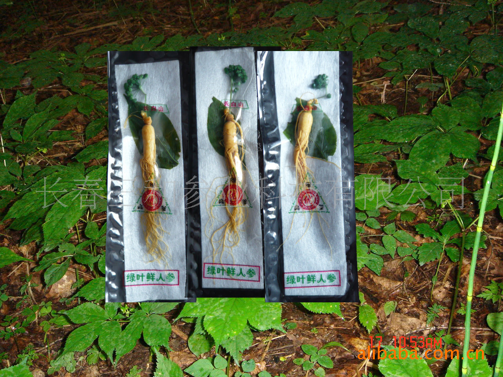 人参/保鲜人参-货号：4003