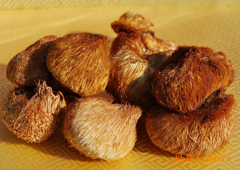 猴头菇/猴头蘑 200克 益气养胃 益寿抗衰