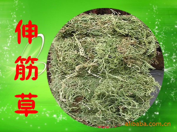 供应中草药 伸筋草 中药材