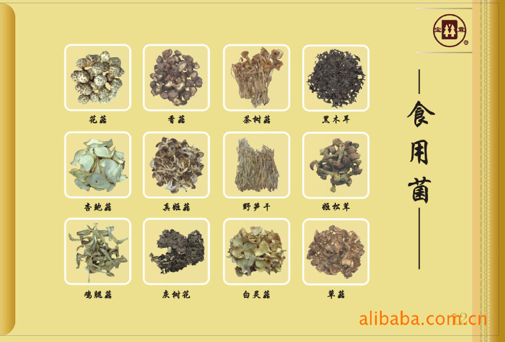 供应优质食用菌