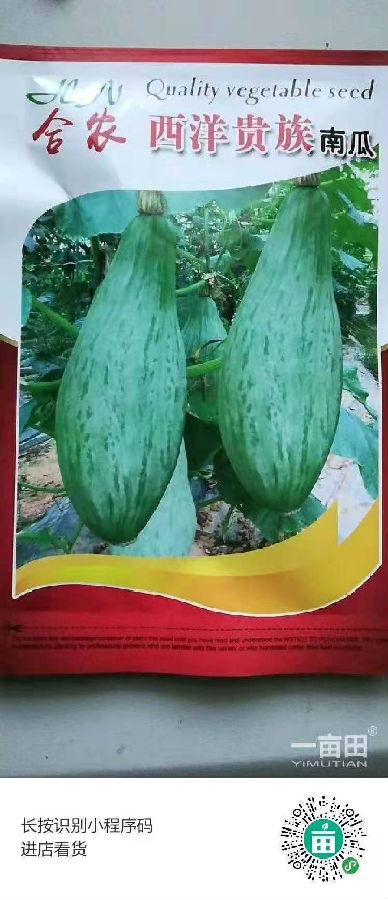 丑瓜种子4.jpg