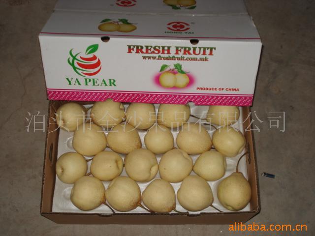 供应河北鸭梨