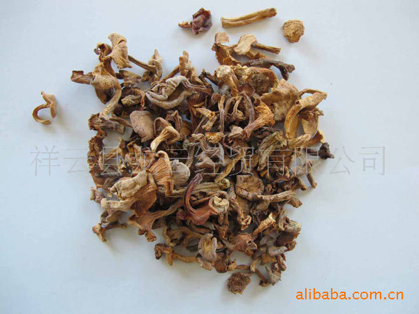 供应龙云大有牌/有机产品/野生食用菌/散装/鸡油菌