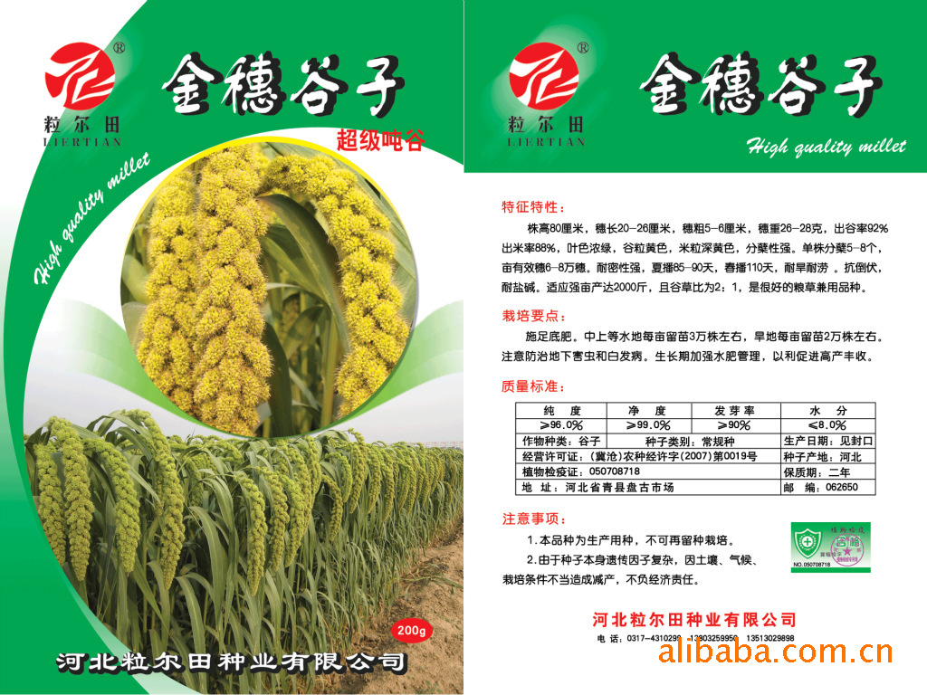 供应蔬菜种子优质谷子种子粒尔田金穗吨谷谷子种子