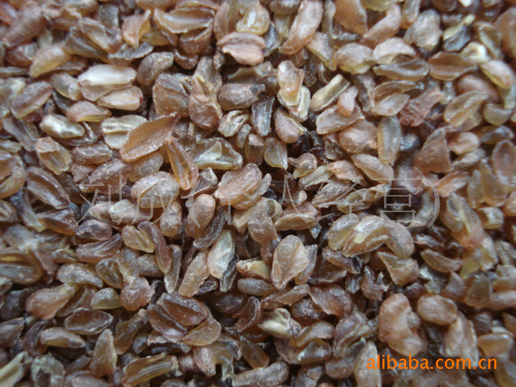 供应苦荞麦.苦荞麦米.苦荞麦仁.苦荞麦茶