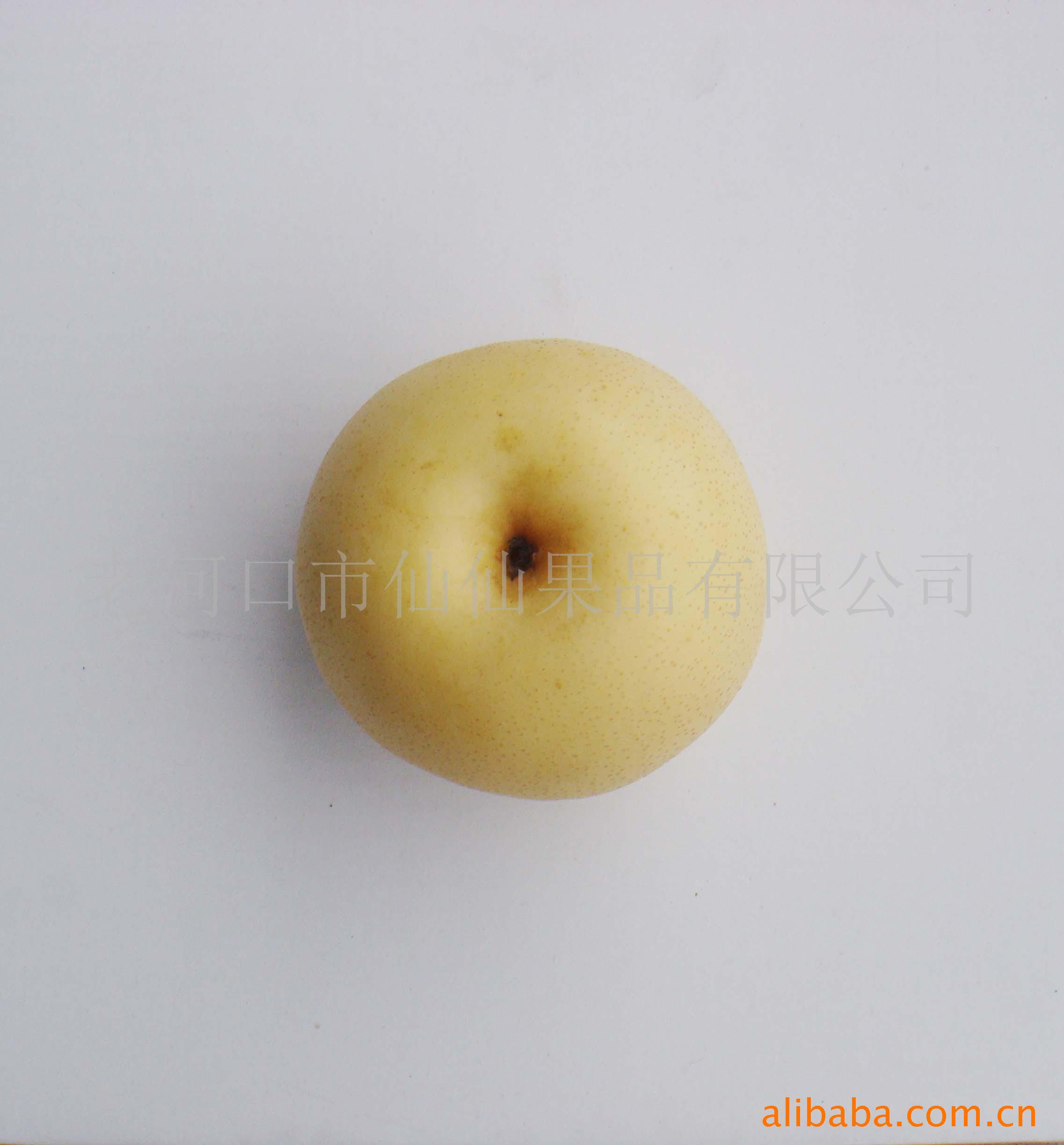 厂家直销供应鲜嫩多汁仙仙牌汉水梨