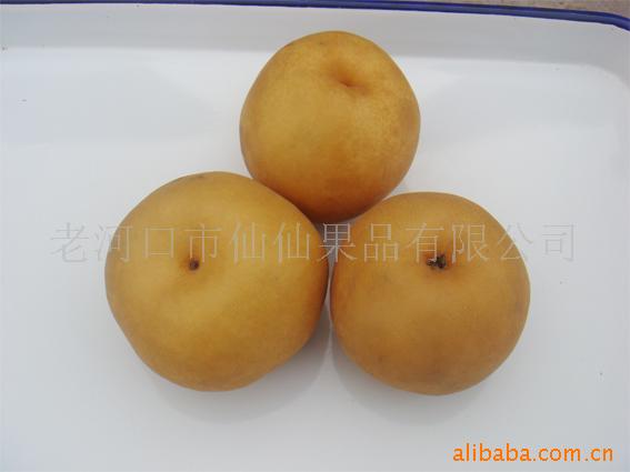 厂家供应鲜甜脆嫩营养丰富爽口汉水梨 梨批发