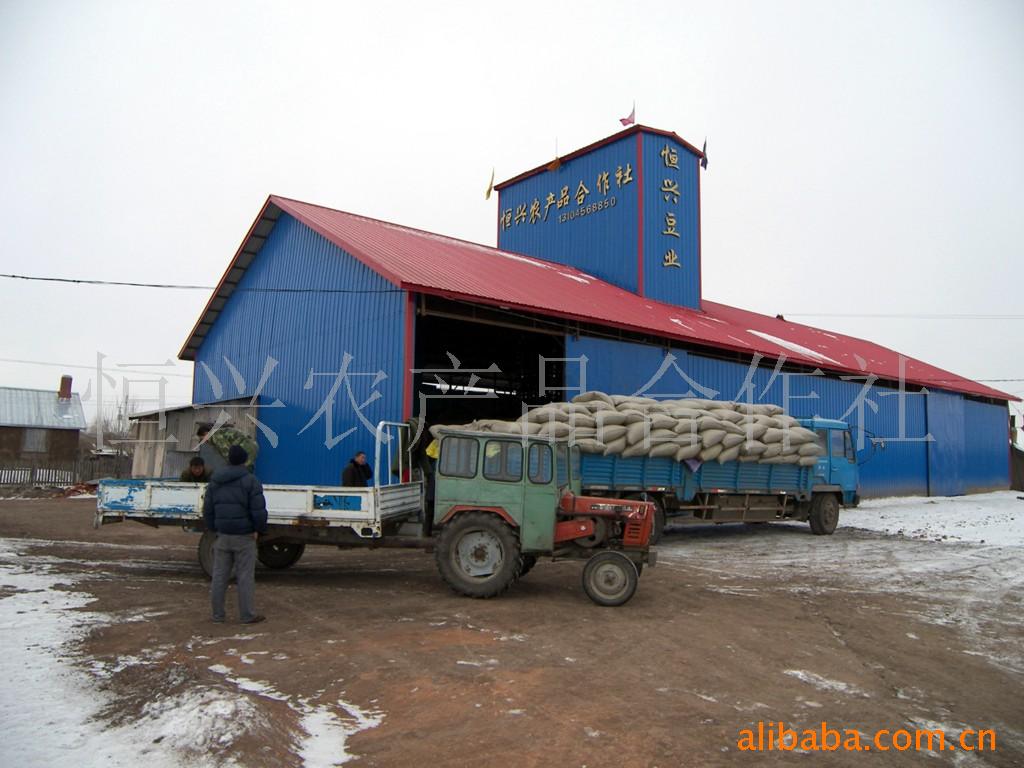 批发供应东北精选天然大豆 做粮油食用的好选择
