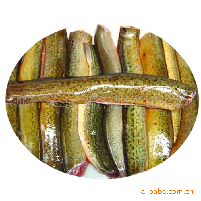 烟台绿岛食品专业批发冷冻泥鳅（去头去内脏） 粗加工水产品