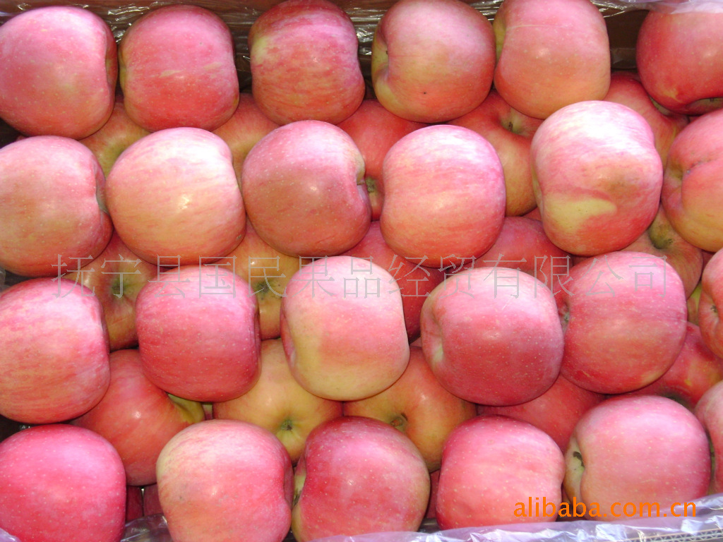 供应大量红富士苹果 甘甜多汁