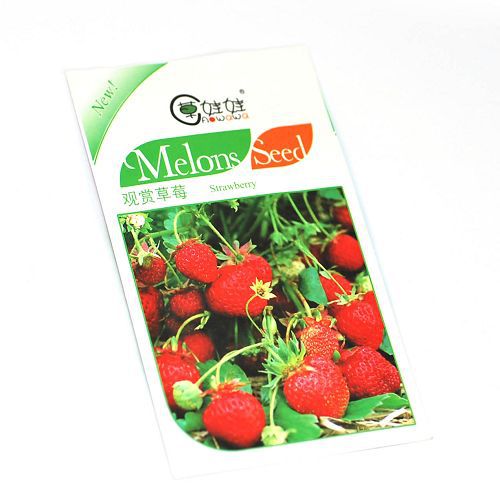 草娃娃牌种植专用种子－－观赏草莓