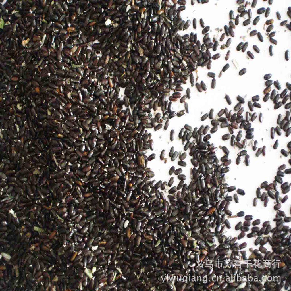 现货产地价直销精选新疆薰衣草花籽 景色美观香气优雅迷人