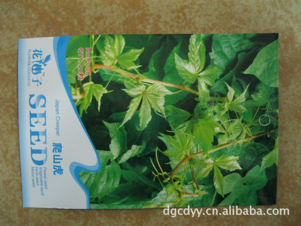 花卉种子，时花种子