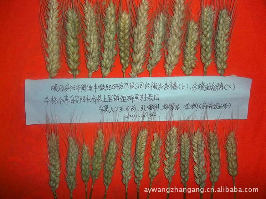 肥料 叶面肥 小麦叶面肥 玉米叶面肥 叶面肥批发 叶面肥厂家