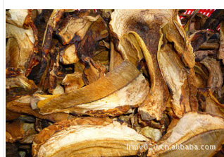 供应批发野生食用菌 红葱菌 白葱菌