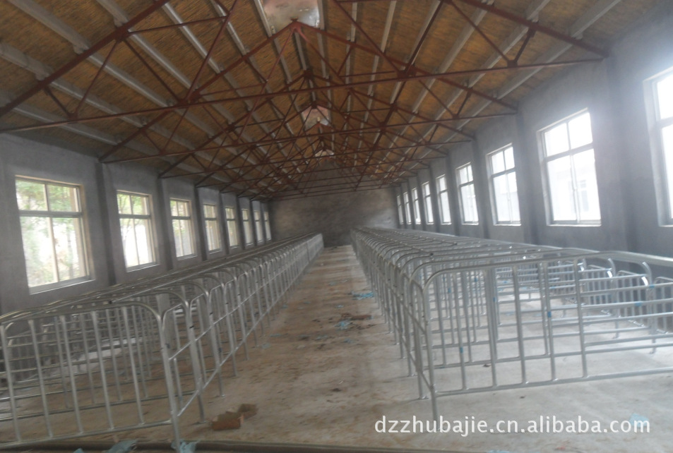 厂家直销最新式加厚母猪定位栏尺寸可定做价格优惠质量耐用