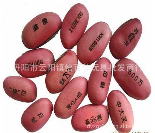 GG014神奇魔豆种子 奇趣爱情魔豆 新奇特 生态玩具 创意情侣礼品