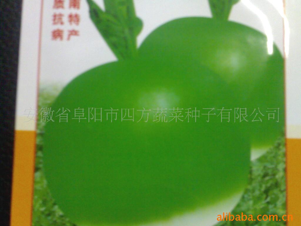 供应绿甜脆(大田恋思萝卜种子)蔬菜种子
