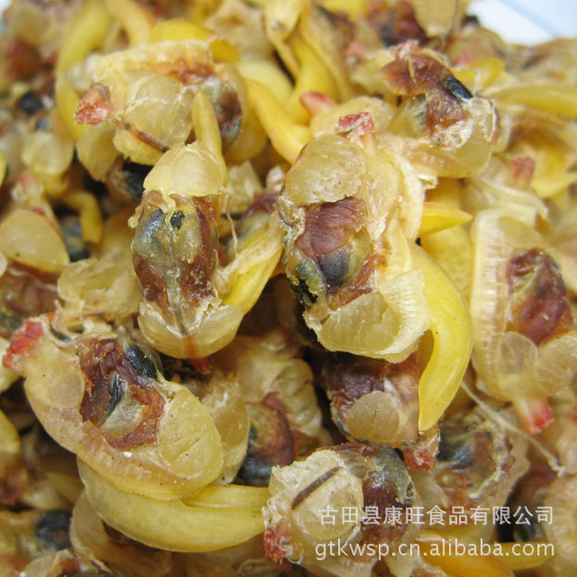 蛤蜊 蛤蜊干 水产海鲜 干制水产品 干水产品