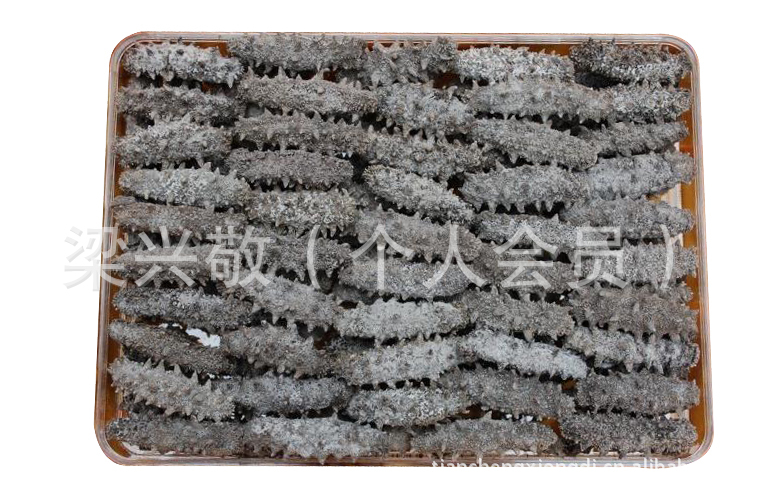 寓圣水产批发 淡干海参专业供应 干制水产品 海参